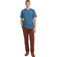 Mens Essentials Chino Pants